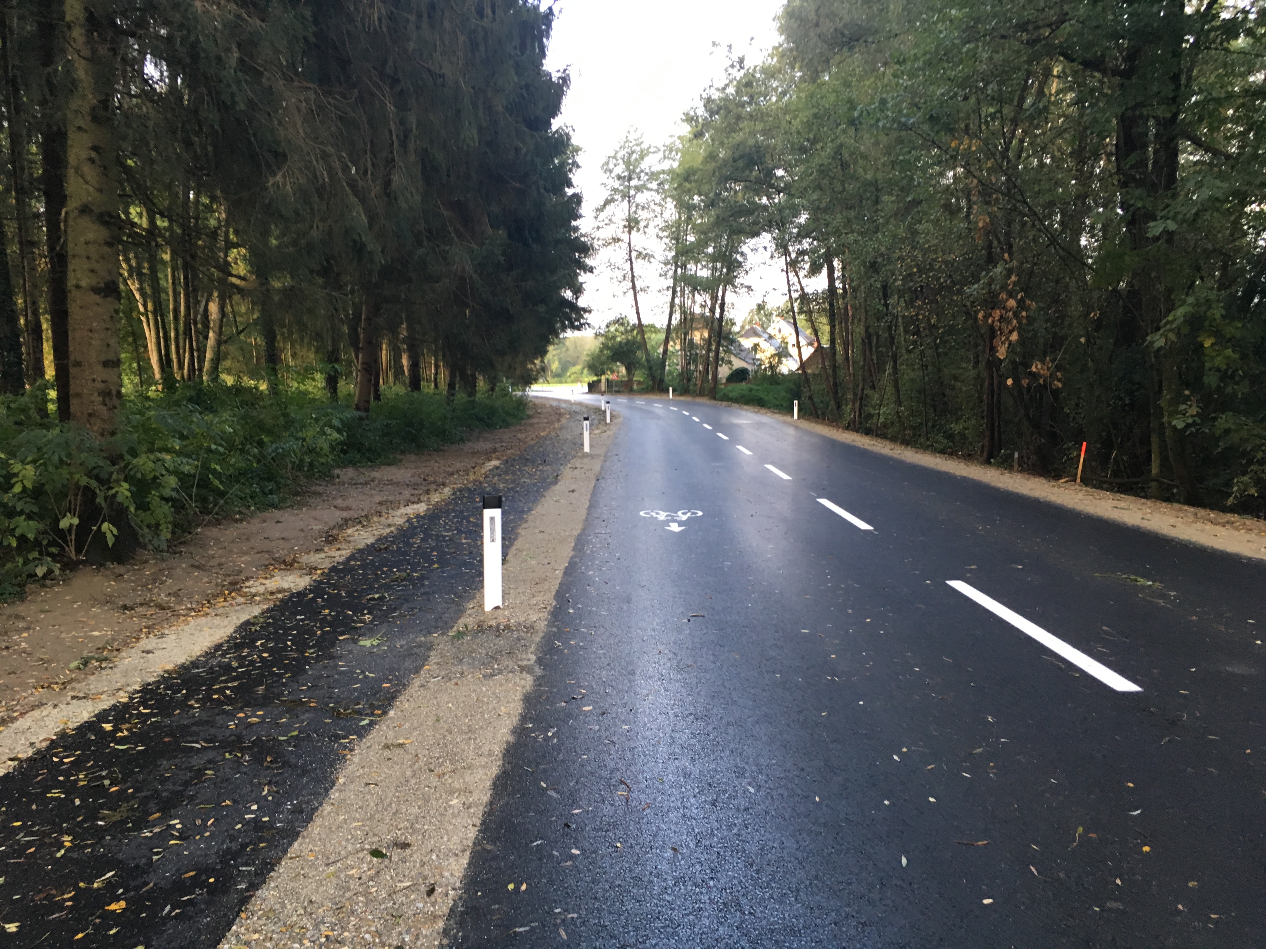 Torteichstraße, Neudau - Road and bridge construction