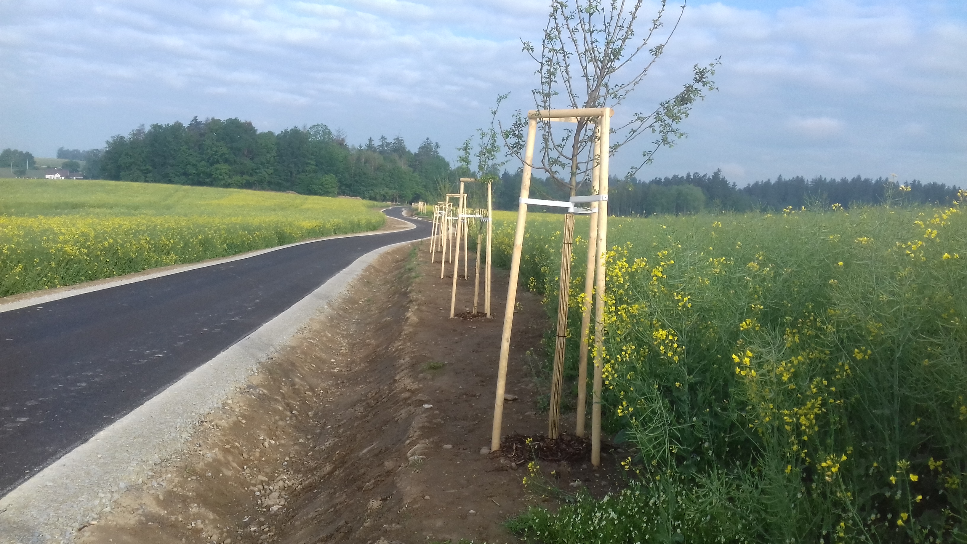 Cyklostezka – propojení katastrálních území Matná–Buk         - Road and bridge construction